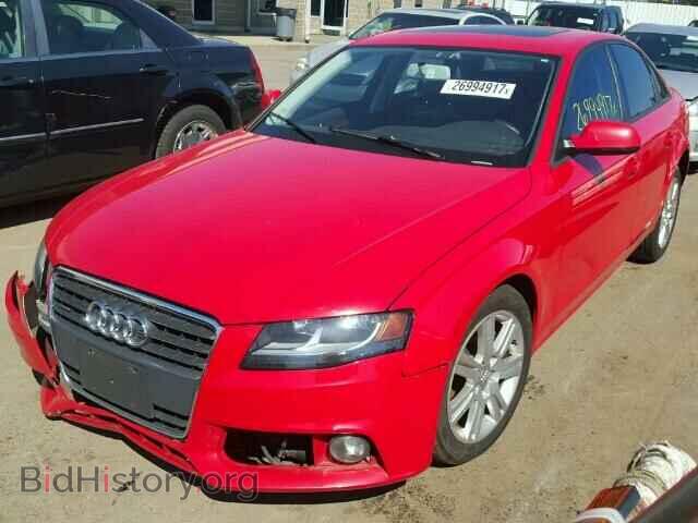 2010 AUDI A4 - VIN: WAUBFAFL8AN025342 - Фото 2