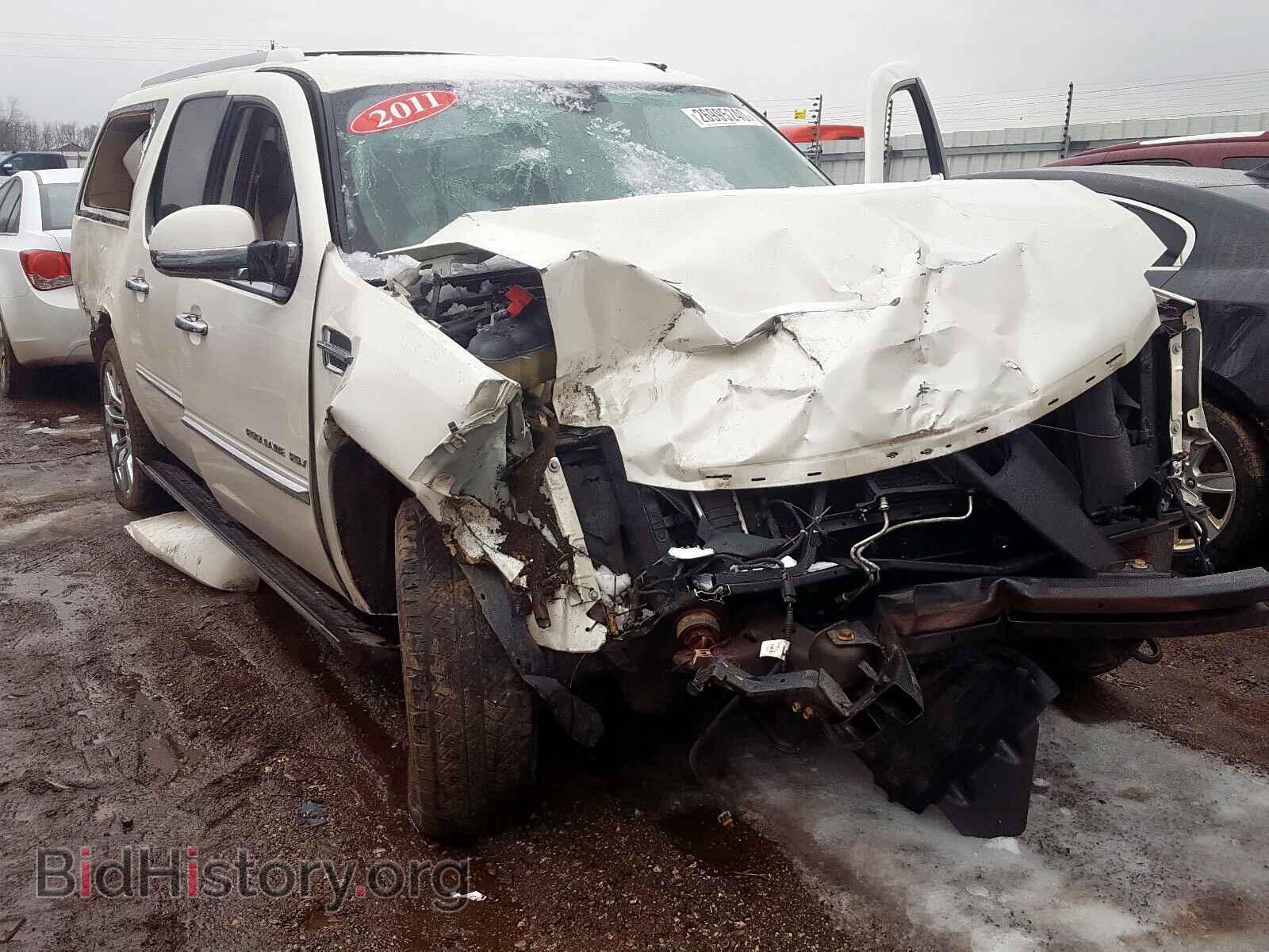 Photo 1GYS4JEF1BR111441 - CADILLAC ESCALADE E 2011