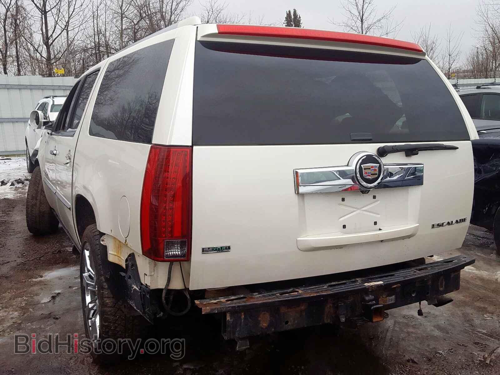 2011 CADILLAC ESCALADE E - VIN: 1GYS4JEF1BR111441 - Фото 3