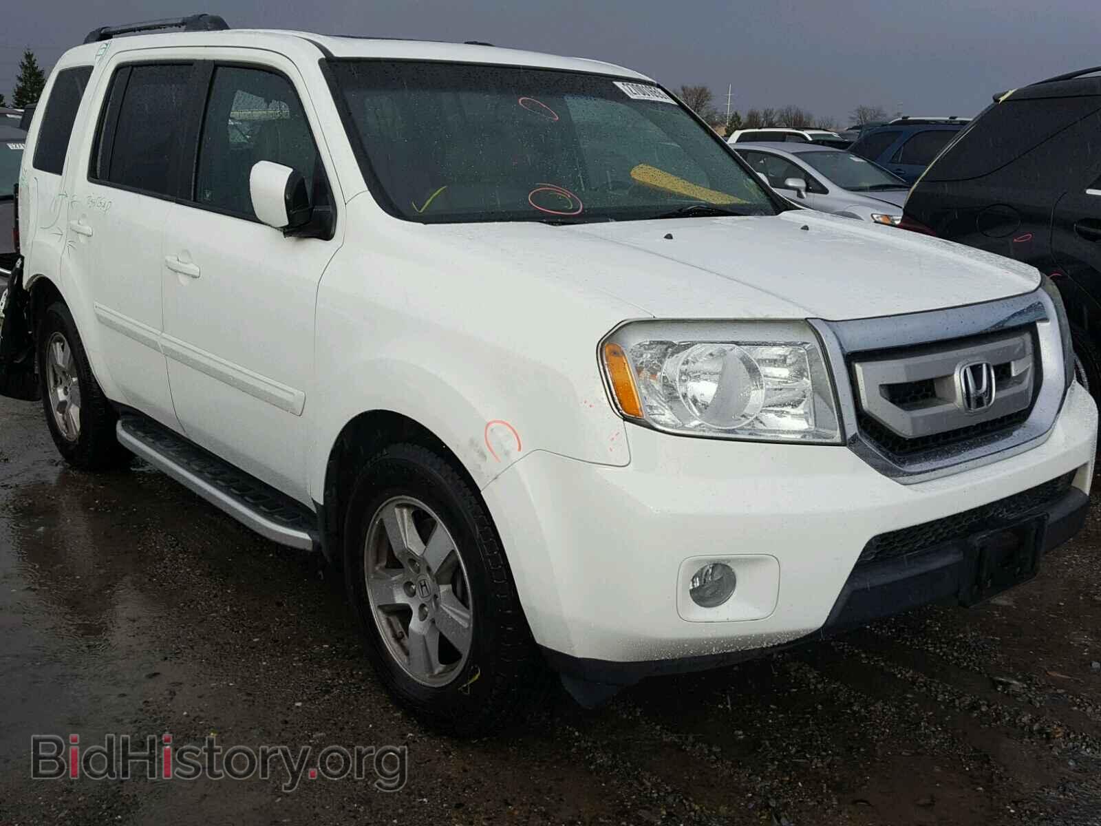 Фотография 5FNYF4H54BB003027 - HONDA PILOT 2011