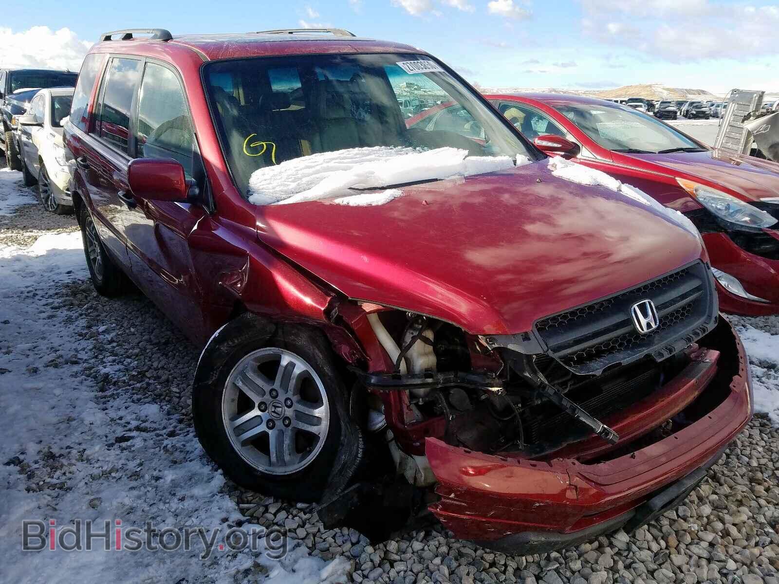 Фотография 2HKYF18565H537182 - HONDA PILOT 2005