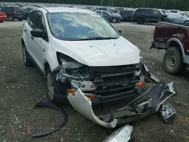 Photo 1FMCU0F75DUD49607 - FORD ESCAPE 2013