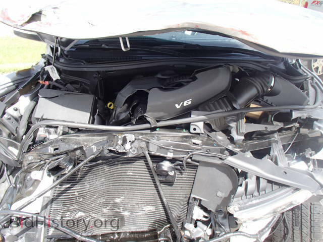 2014 DODGE DURANGO - VIN: 1C4RDHAG1EC344397 - Фото 7