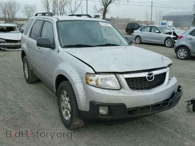 Фотография 4F2CZ02759KM08251 - MAZDA TRIBUTE 2009