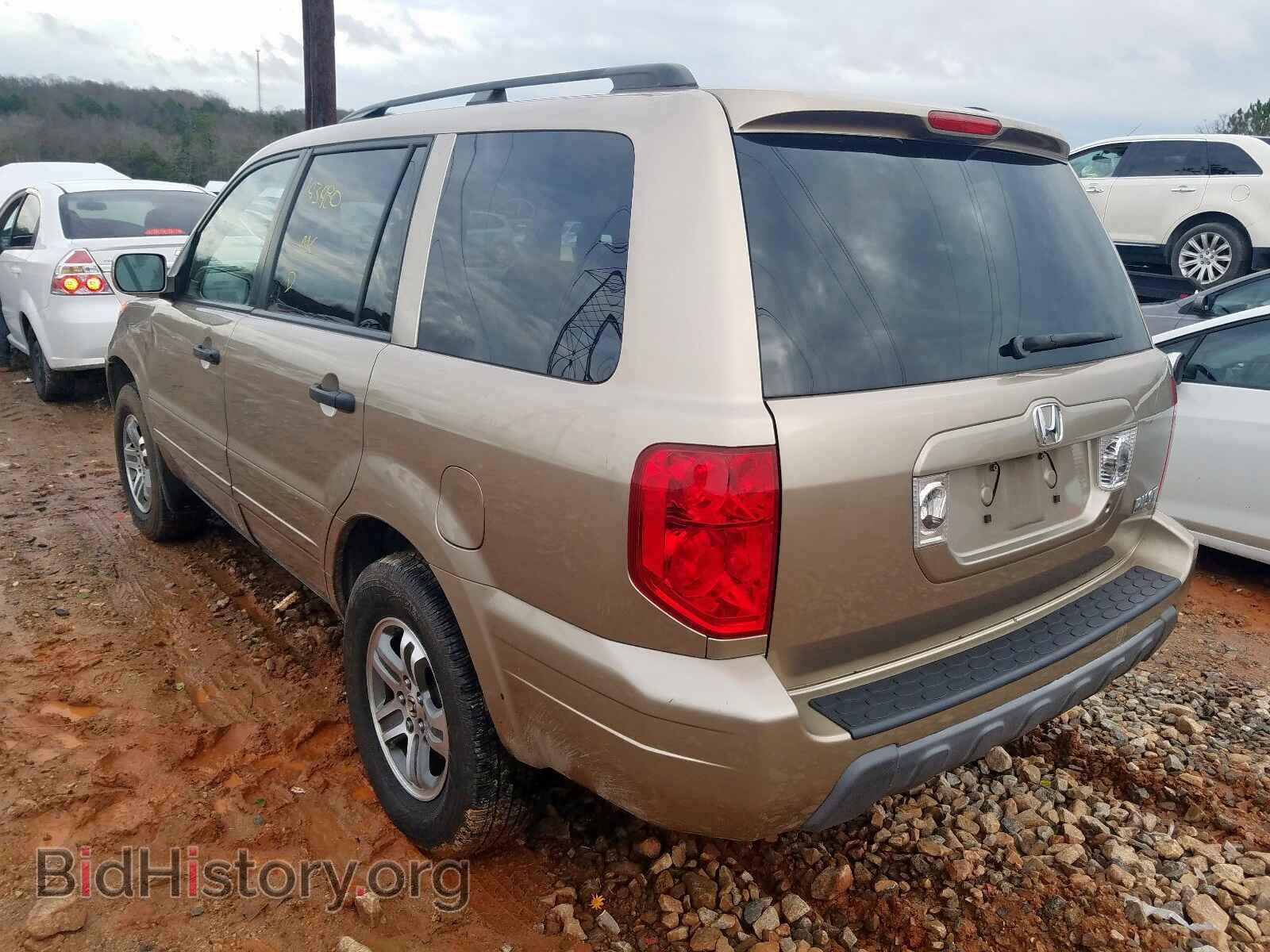2005 HONDA PILOT - VIN: 5FNYF18525B017527 - Фото 3