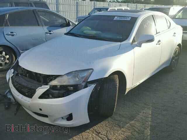 2010 LEXUS IS250 - VIN: JTHBF5C29A5125809 - Фото 2