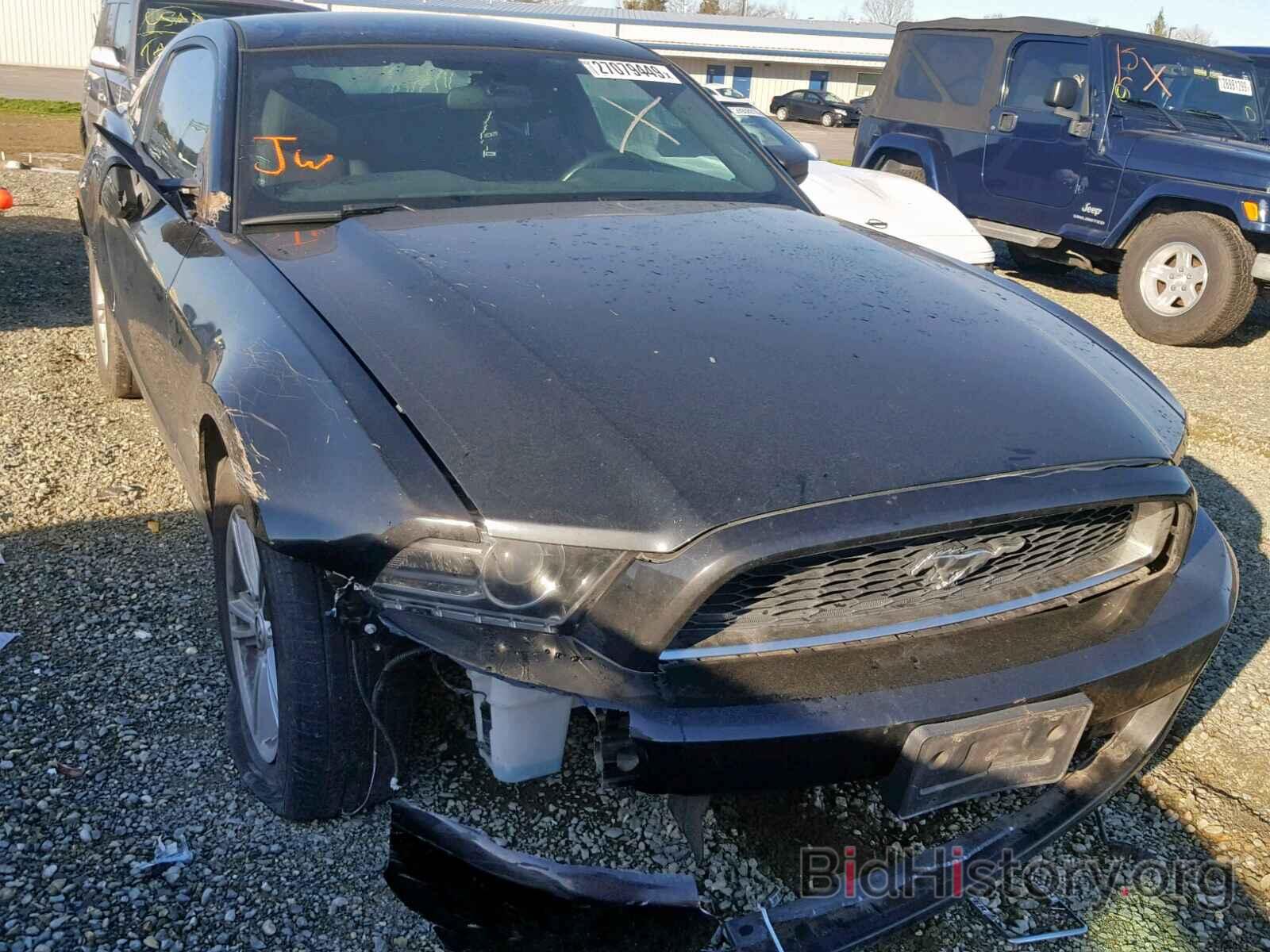 Photo 1ZVBP8AMXD5227089 - FORD MUSTANG 2013