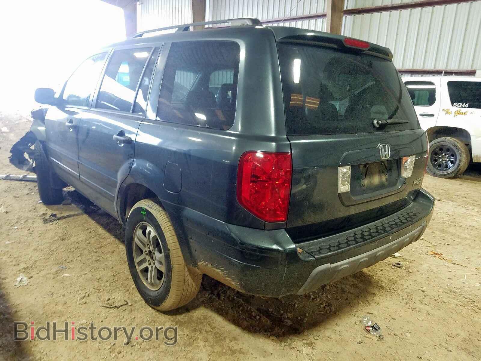 2005 HONDA PILOT - VIN: 5FNYF18545B062985 - Фото 3