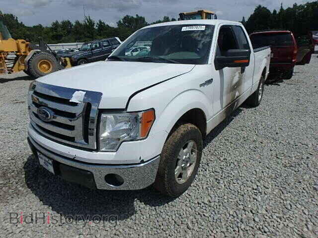 2011 FORD F150 - VIN: 1FTFX1EF9BFC85600 - Фото 2