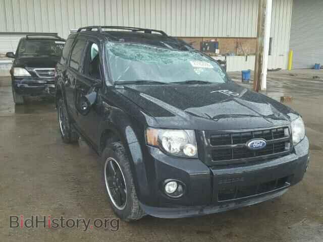 Photo 1FMCU0DG2BKC36161 - FORD ESCAPE 2011
