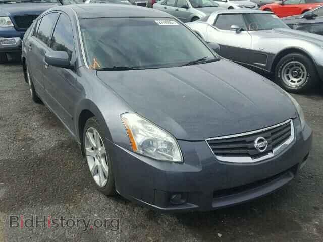 Photo 1N4BA41E08C838584 - NISSAN MAXIMA 2008
