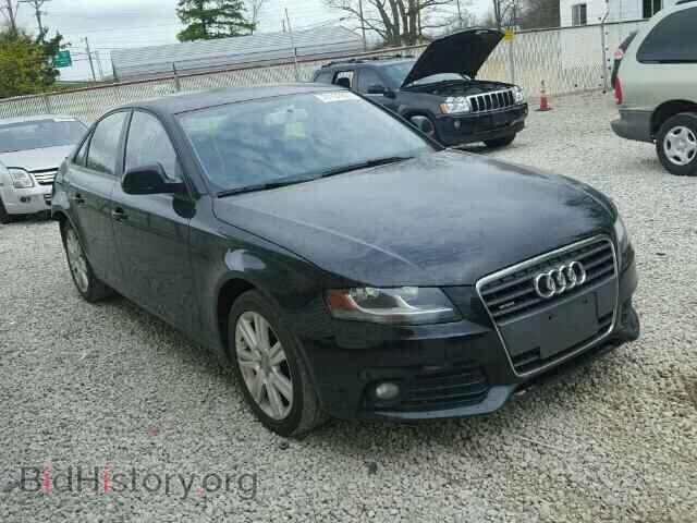 Фотография WAULF78K09N064675 - AUDI A4 2009