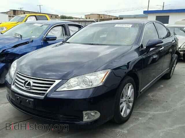 2010 LEXUS ES350 - VIN: JTHBK1EGXA2404538 - Фото 2