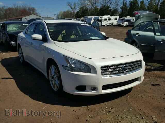Фотография 1N4AA5AP9AC831416 - NISSAN MAXIMA 2010