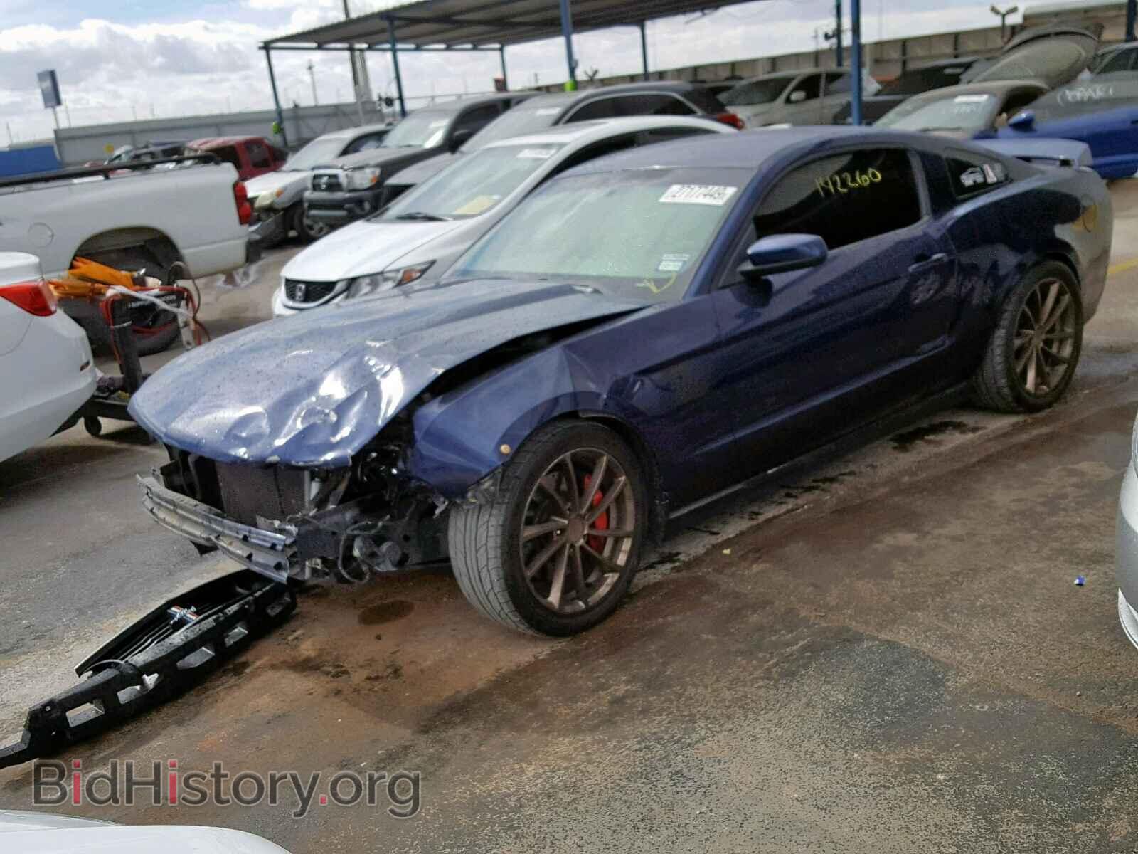 2011 FORD MUSTANG - VIN: 1ZVBP8CF2B5141660 - Фото 2