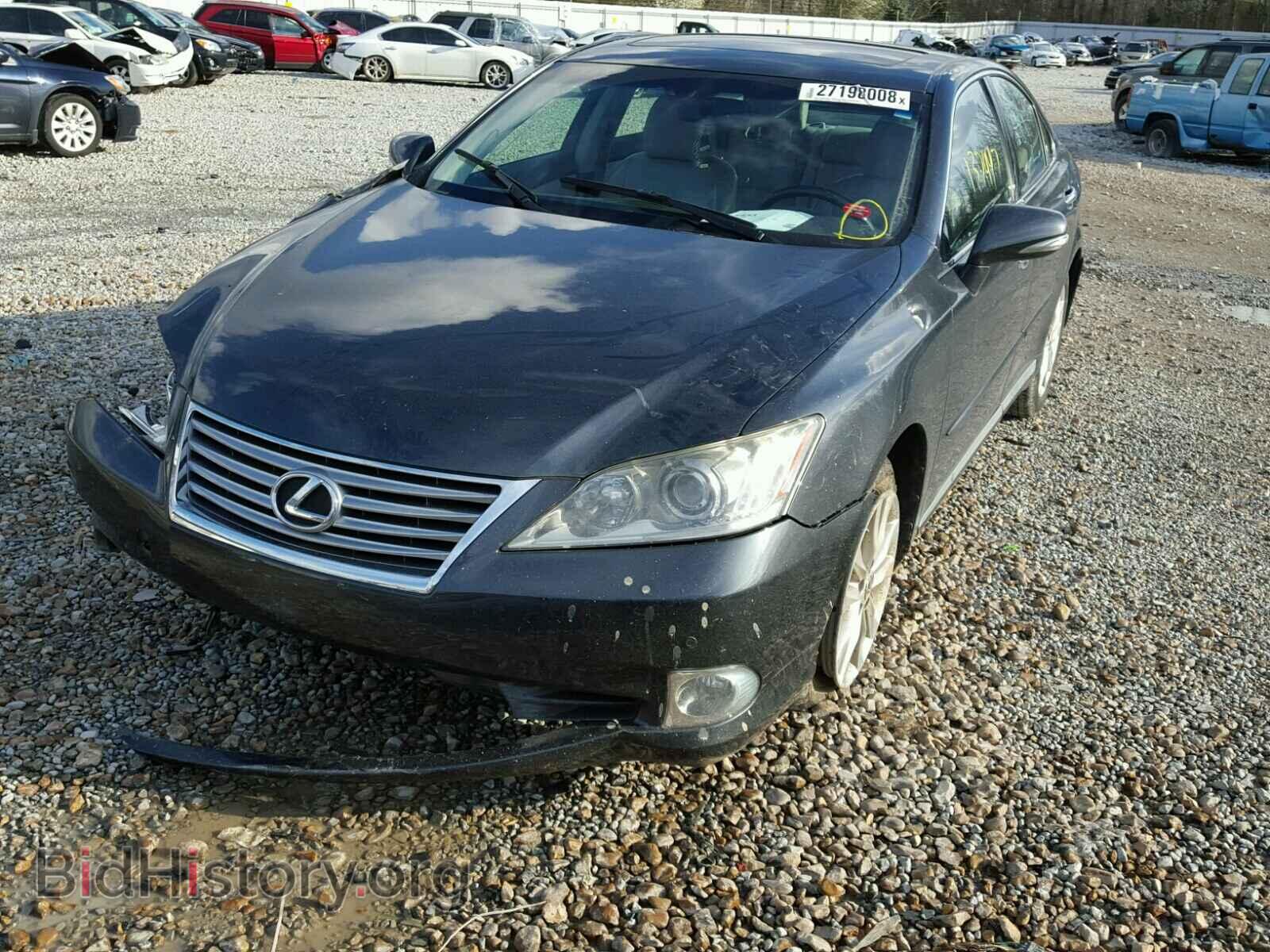 2011 LEXUS ES350 - VIN: JTHBK1EG5B2419773 - Фото 2