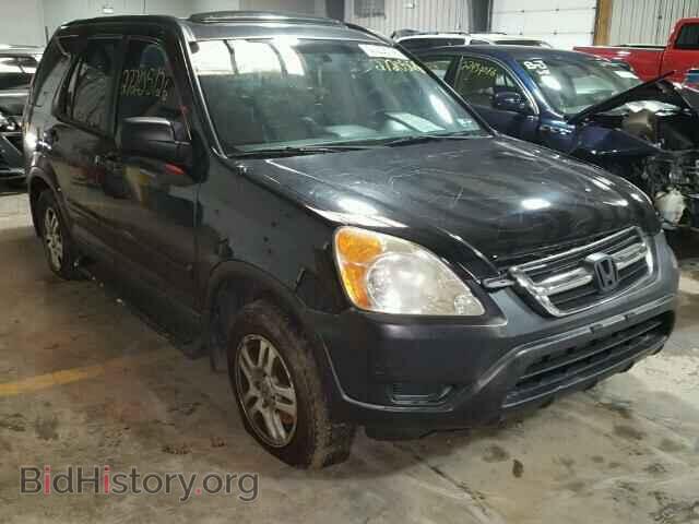 Фотография JHLRD78883C020016 - HONDA CRV 2003