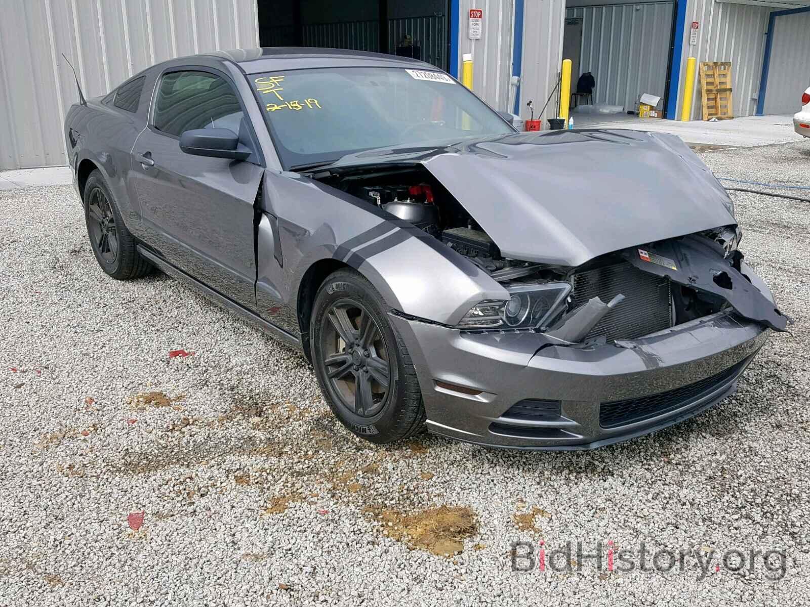Photo 1ZVBP8AM5E5255402 - FORD MUSTANG 2014