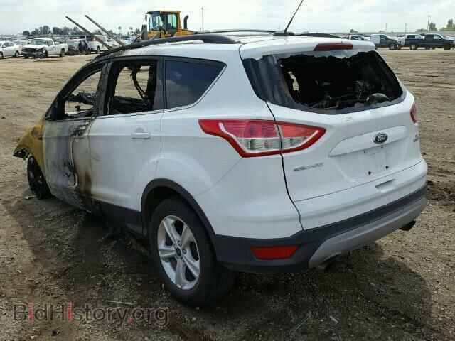 2013 FORD ESCAPE - VIN: 1FMCU0GX8DUD54797 - Фото 3