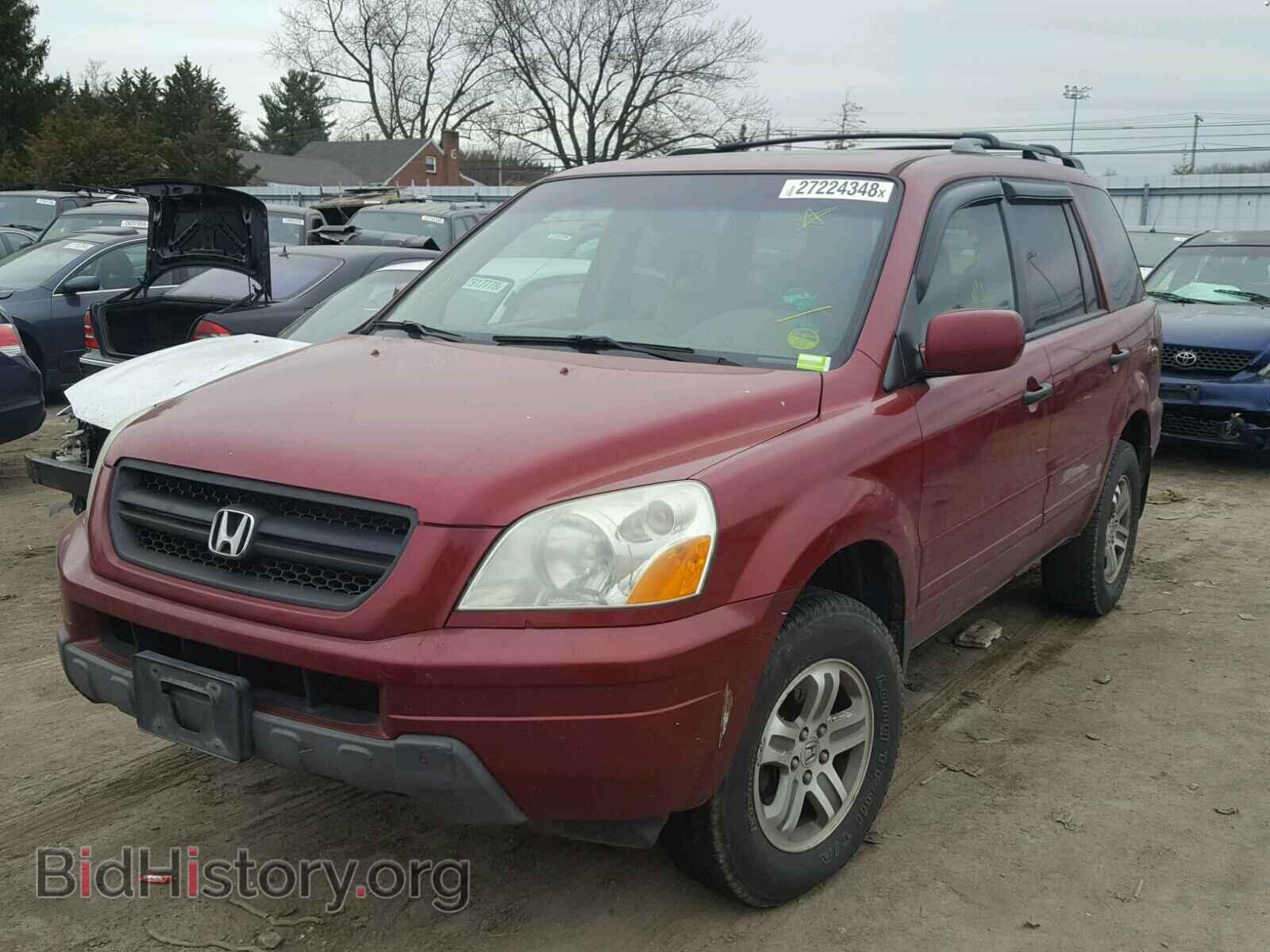 2005 HONDA PILOT - VIN: 5FNYF18635B065496 - Фото 2