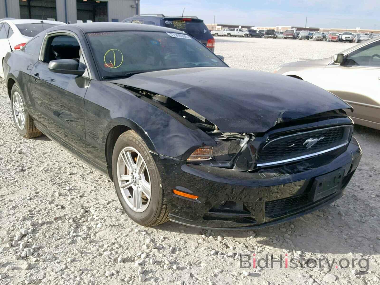 Photo 1ZVBP8AM5D5218607 - FORD MUSTANG 2013