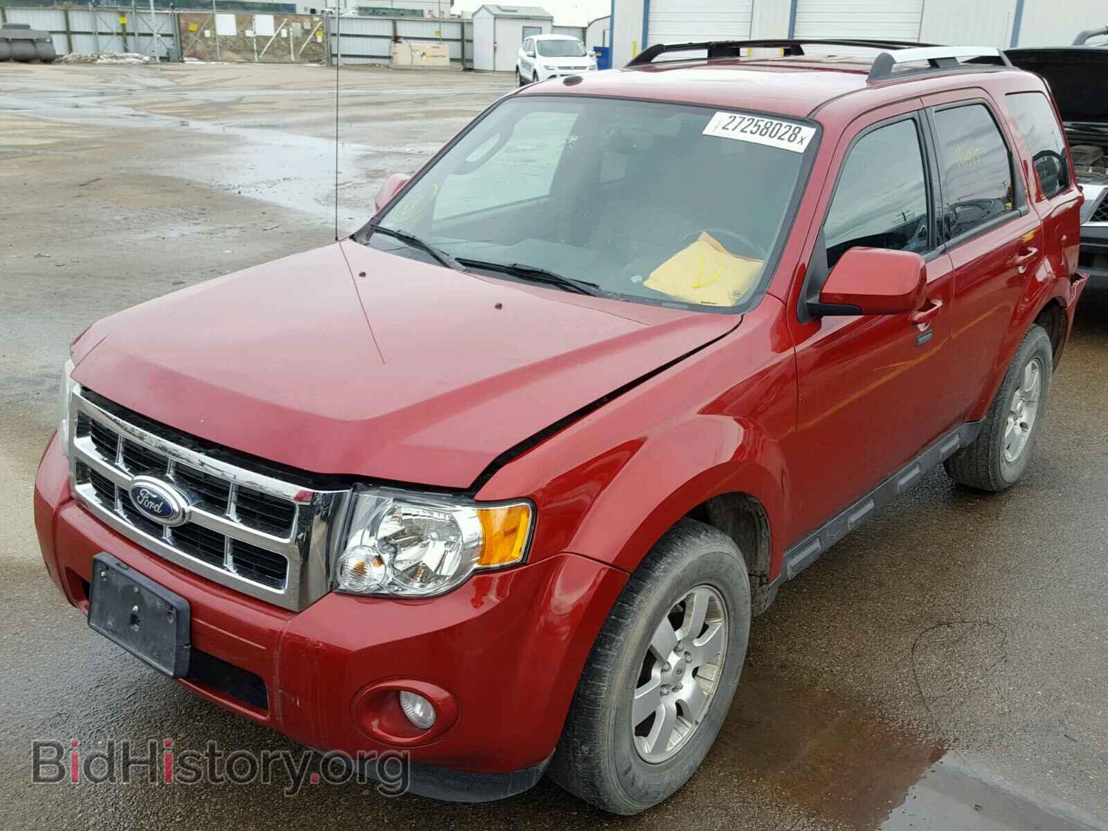 2011 FORD ESCAPE - VIN: 1FMCU9EG3BKC43509 - Фото 2