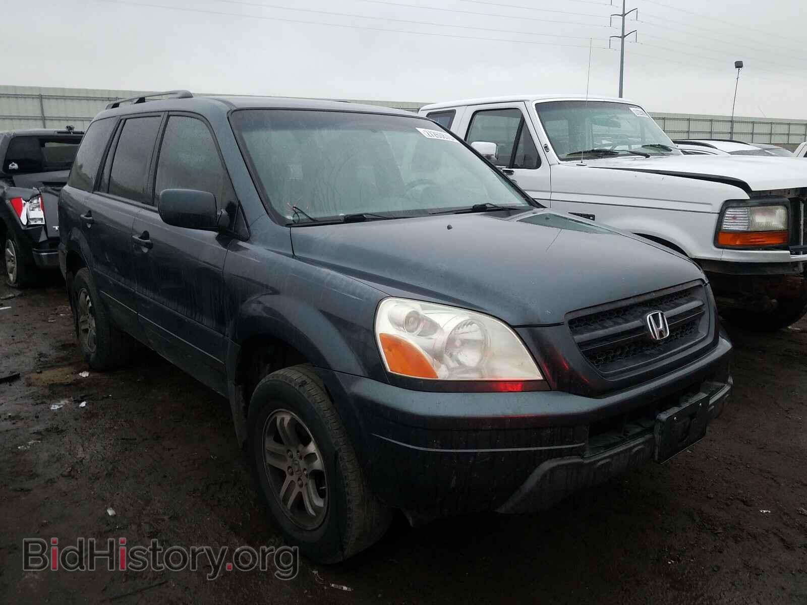 Фотография 5FNYF18445B025555 - HONDA PILOT 2005