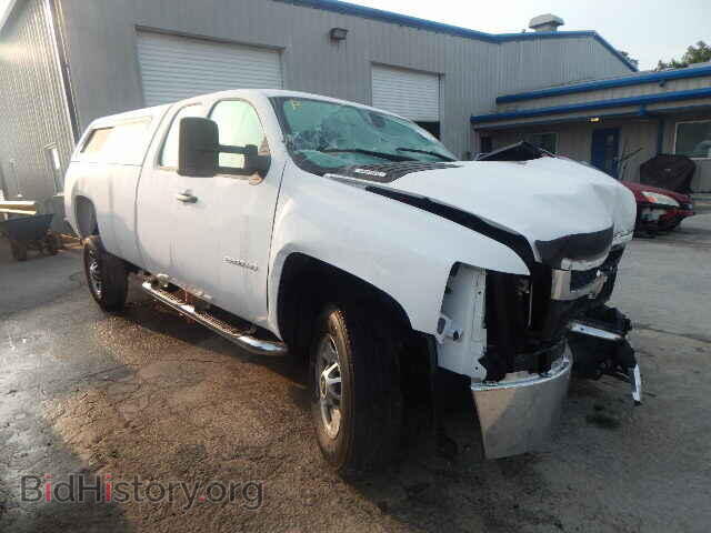 Фотография 1GC2CVCG1DZ102933 - CHEVROLET SILVERADO 2013
