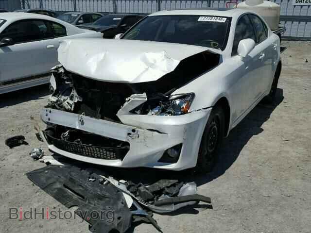 2011 LEXUS IS250 - VIN: JTHCF5C2XB5045523 - Фото 2