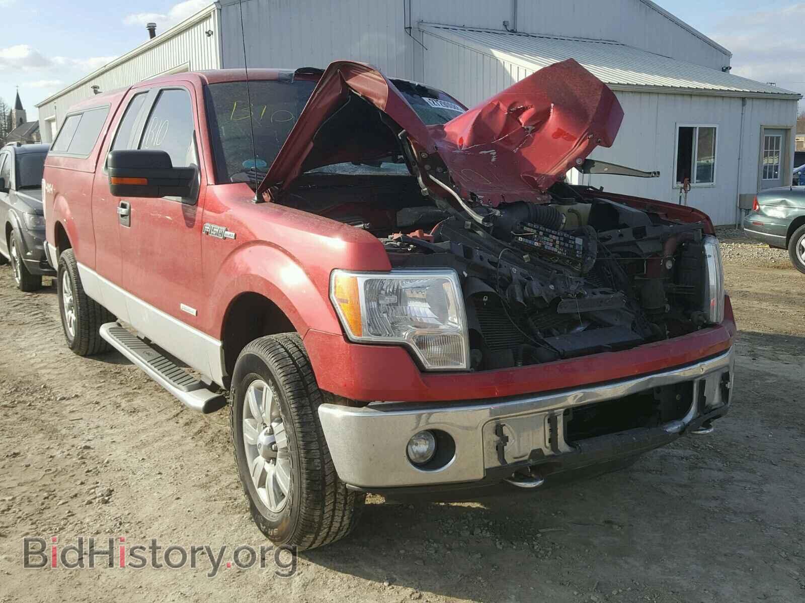 Фотография 1FTFX1ET3CFB08029 - FORD F150 2012