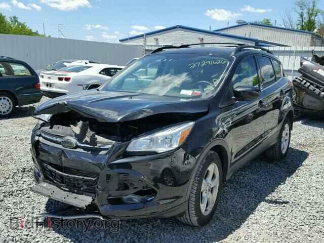 2013 FORD ESCAPE - VIN: 1FMCU9GX0DUA28075 - Фото 2