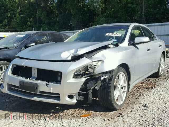 2010 NISSAN MAXIMA - VIN: 1N4AA5AP0AC829005 - Фото 2