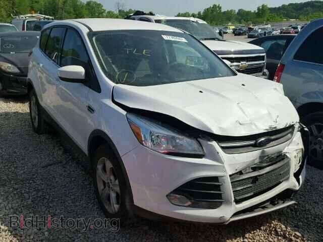 Фотография 1FMCU0GX5EUD13867 - FORD ESCAPE 2014