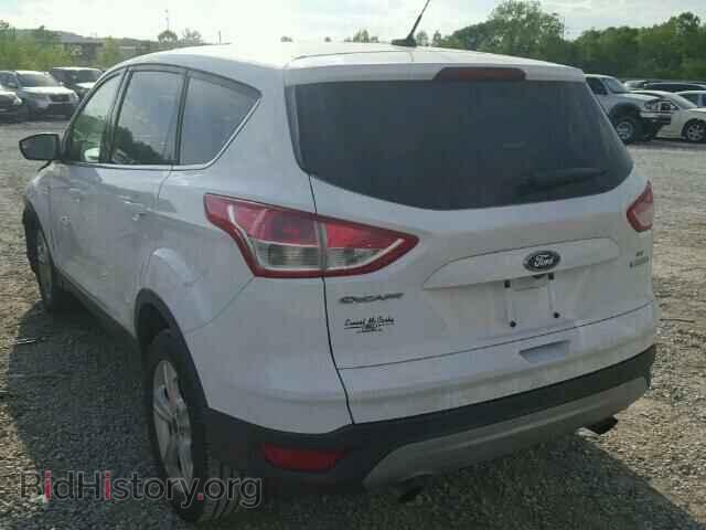 2014 FORD ESCAPE - VIN: 1FMCU0GX5EUD13867 - Фото 3