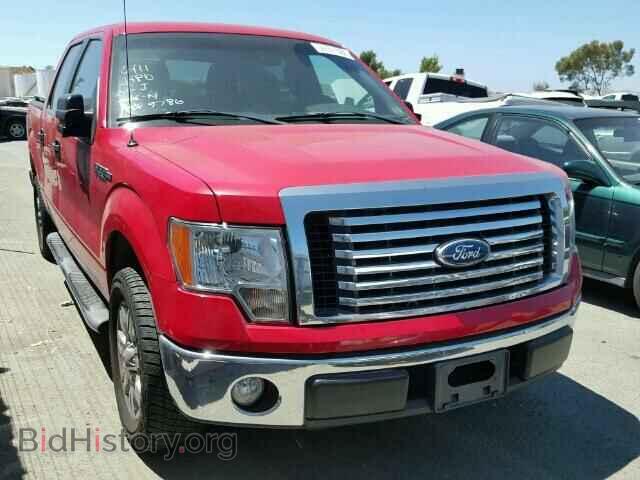Фотография 1FTFW1CV3AKE60782 - FORD F150 2010