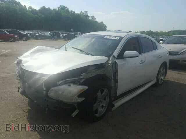 2009 NISSAN MAXIMA - VIN: 1N4AA51E49C812413 - Фото 2