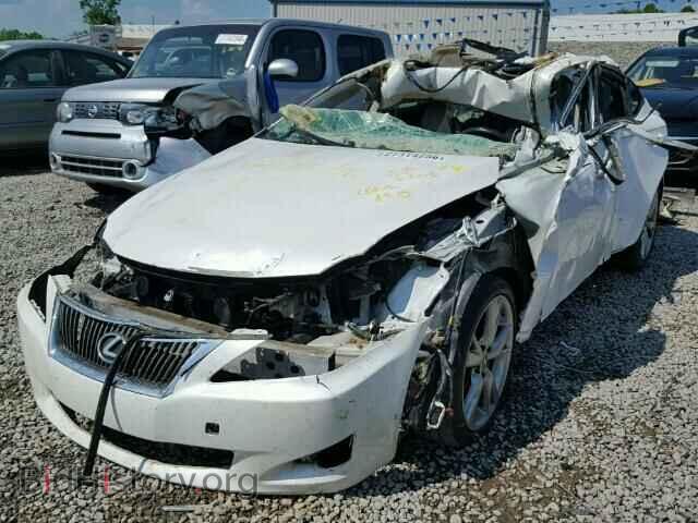 2009 LEXUS IS250 - VIN: JTHBK262295091357 - Фото 2