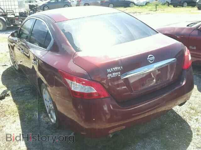 2010 NISSAN MAXIMA - VIN: 1N4AA5AP6AC817148 - Фото 3