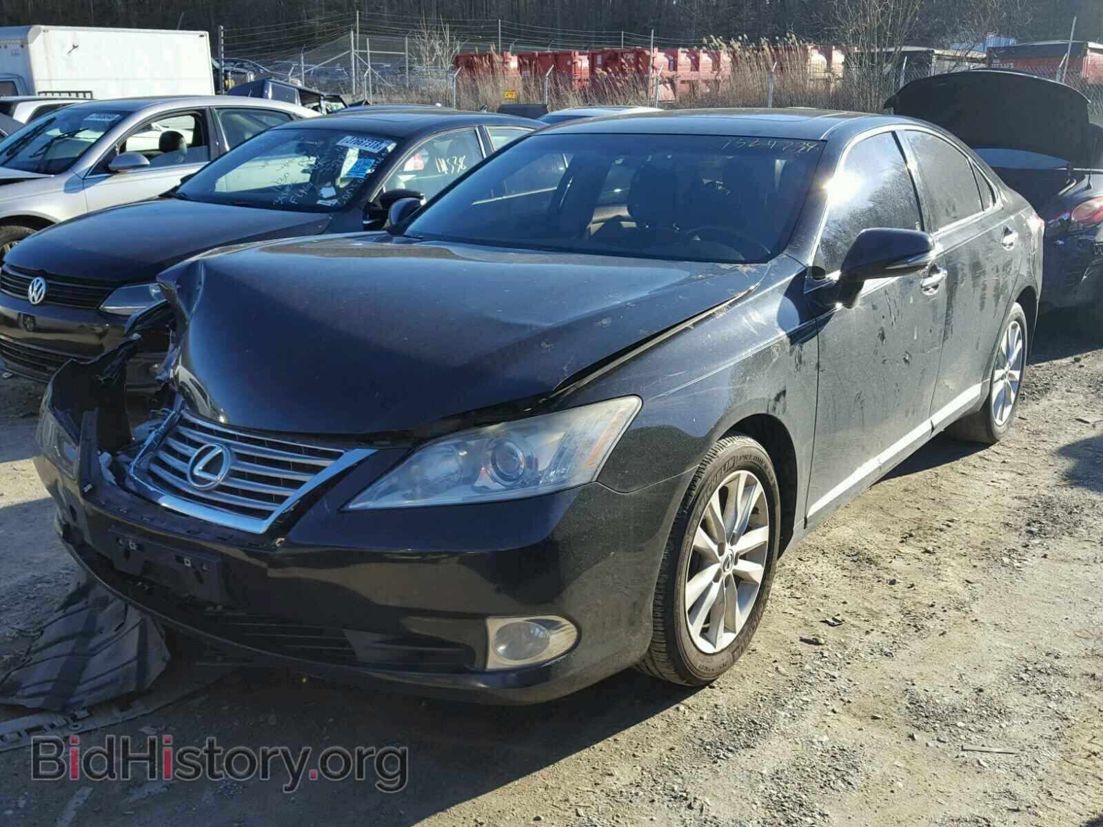 2010 LEXUS ES350 - VIN: JTHBK1EG8A2379980 - Фото 2