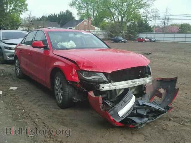 Фотография WAUSF78K69N053692 - AUDI A4 2009
