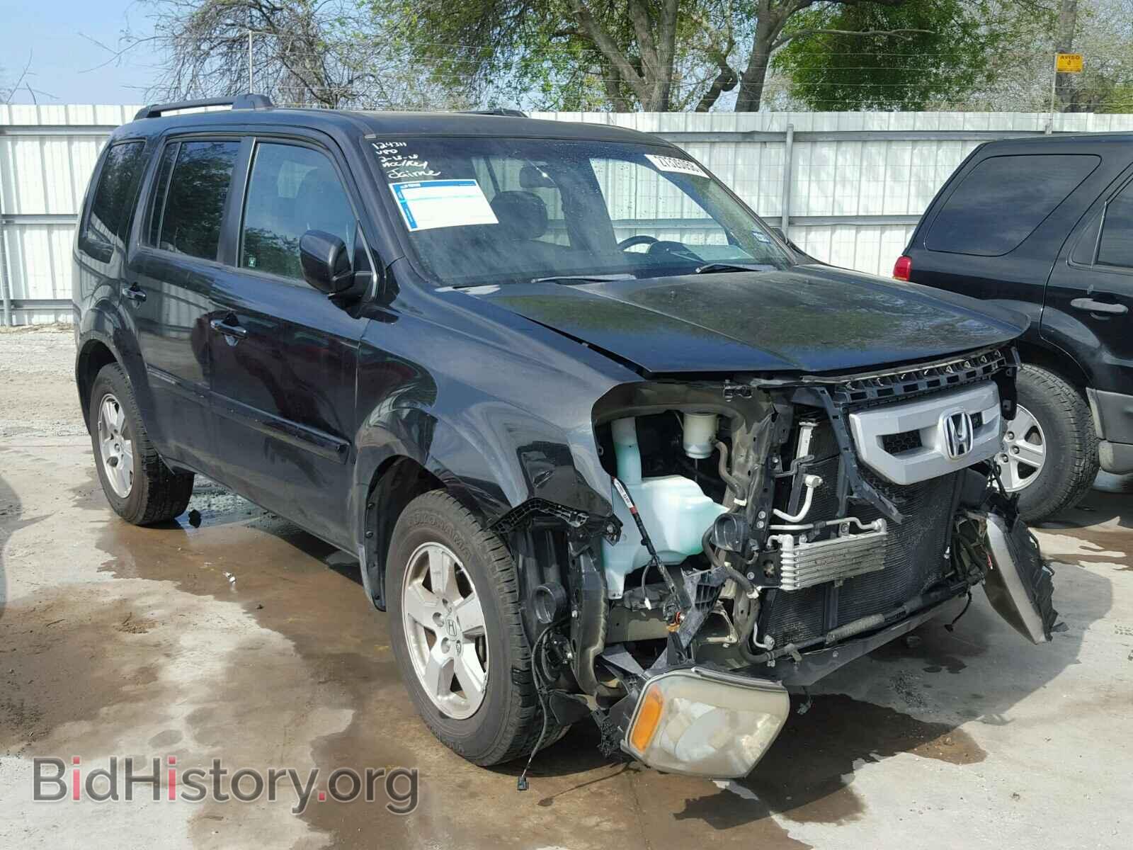Фотография 5FNYF3H55BB007954 - HONDA PILOT 2011