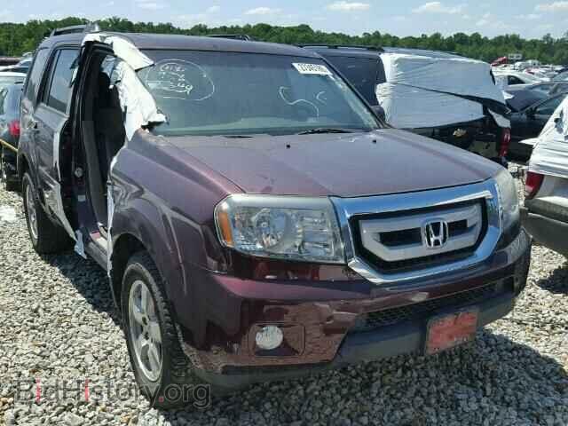 Фотография 5FNYF4H54BB082344 - HONDA PILOT 2011