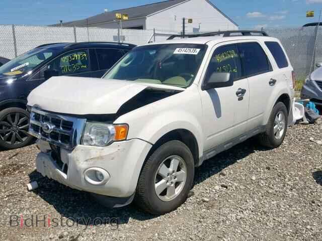 2011 FORD ESCAPE - VIN: 1FMCU0DG2BKA51351 - Фото 2