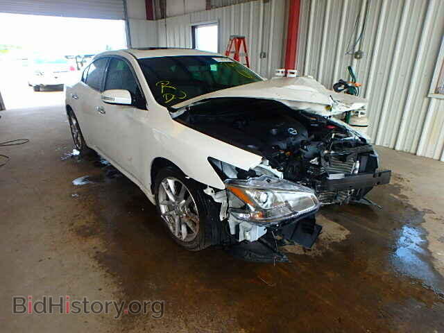 Фотография 1N4AA5AP7BC861919 - NISSAN MAXIMA 2011