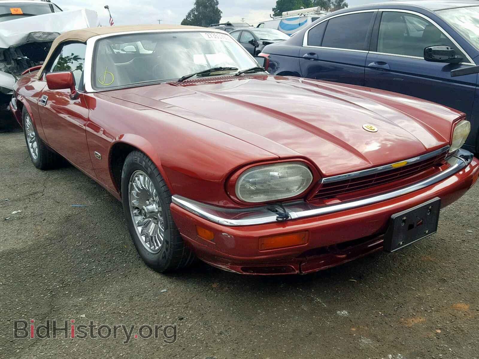 Фотография SAJNX2348SC195800 - JAGUAR XJS 1995