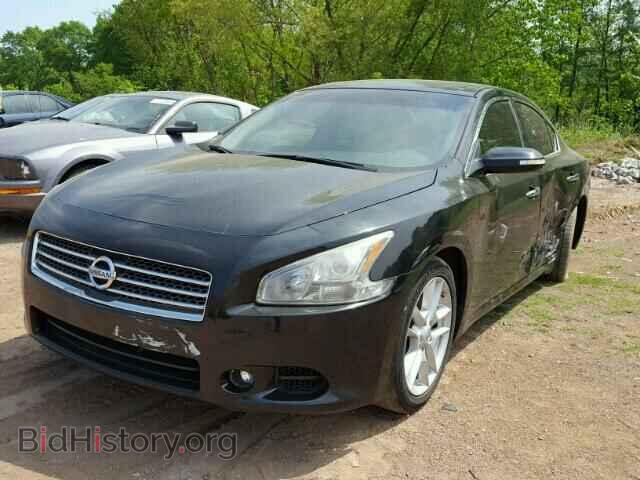 2009 NISSAN MAXIMA - VIN: 1N4AA51E89C845060 - Фото 2