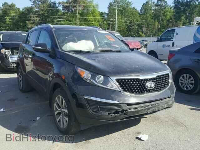 Фотография KNDPB3AC7E7641177 - KIA SPORTAGE 2014