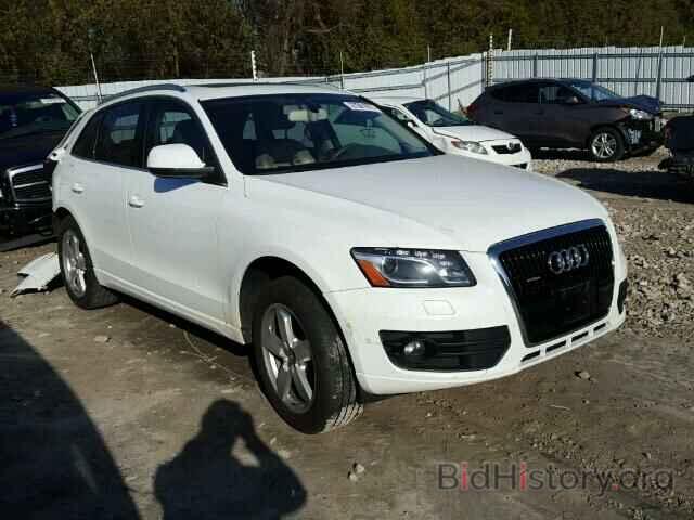 Фотография WA1LKCFP8AA055668 - AUDI Q5 2010