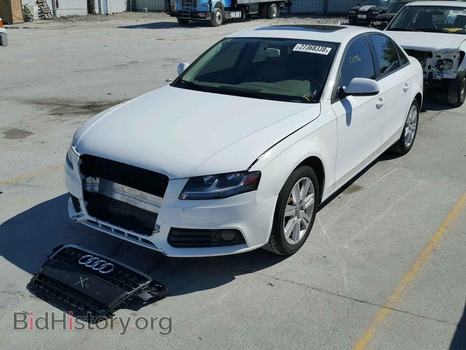2011 AUDI A4 - VIN: WAUAFAFL6BN011968 - Фото 2