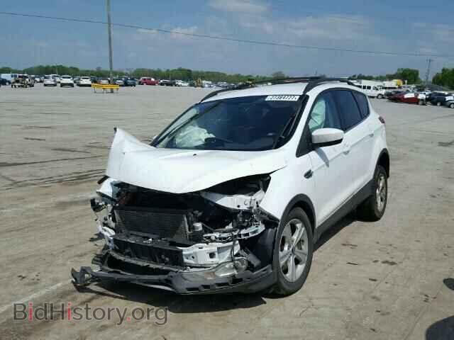 2013 FORD ESCAPE - VIN: 1FMCU9G94DUA35547 - Photo 2